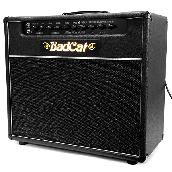 Billy Duffy's Bad Cat amp